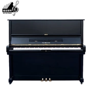 [Live Piano] Đàn piano dành cho người mới bắt đầu sử dụng Yamaha Yamaha U2C dành cho người lớn - dương cầm