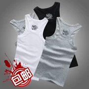 Mới mồ hôi vest thể thao in thể dục polyester bó sát cotton nam vest mùa hè quần áo nam dưới đáy - Lót