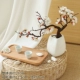 Bonsai Plum Blossom White+Треугольная ваза