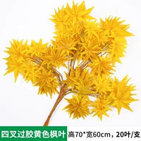 Цвета шампанского