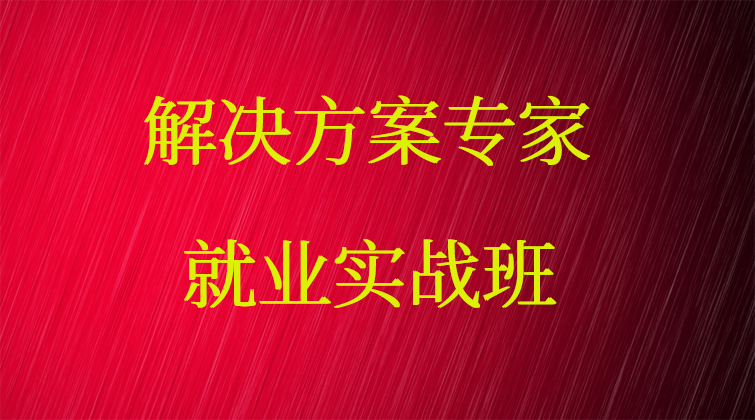 解决方案专家·就业实战班