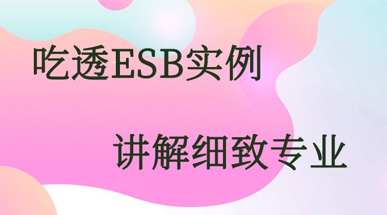 ESB实例视频课程