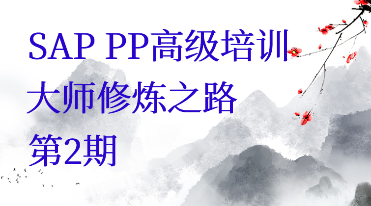 haima malala aotuo towin fuer aoer MRP BOM PP SAP视频课程