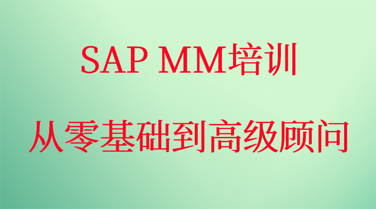 haima malala aotuo towin fuer aoer Gprice MIRO SAP MM视频课程