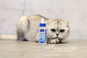 Mousse phải lòng Faber - Virbac Wick Eye Cleansing Liquid 60ml Eye Net Pet Eye Drops Cat and Dog General - Thuốc nhỏ mắt