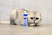 Mousse phải lòng Faber - Virbac Wick Eye Cleansing Liquid 60ml Eye Net Pet Eye Drops Cat and Dog General - Thuốc nhỏ mắt thuốc dưỡng mắt