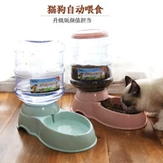 Pet mèo nước quả tự động trung chuyển mèo thức ăn cho chó bát nước uống nước treo mèo vật nuôi cần thiết hàng ngày