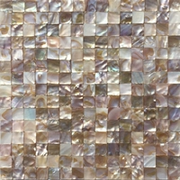 20 красочная залива Corllarsia Tantra (темный цвет)