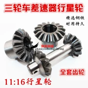 Xe máy điện ba bánh vi sai hành tinh bánh răng hộp số trục sau bánh răng ngược - Xe máy Gears