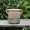 [Tháp bùn] Nghệ thuật xi măng Hoa chậu hoa chậu chậu Bình Jar Nghệ thuật cổ điển Vườn Vườn Ban công - Vase / Bồn hoa & Kệ
