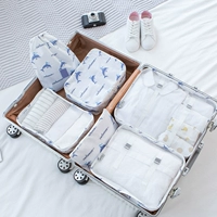 Летний дельфин