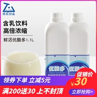 Свежие остая больше 1,1 л швашни концентрированного йогуртской молочной кислоты бактерии оригинальное йогуртовое молоко куколка для чая сырье сырье