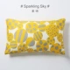 Su Qing #Sparkling Sky #