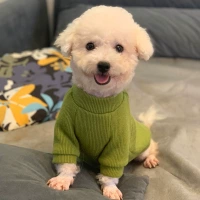 Зеленый свитер