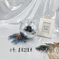 Светоотражающий, маленький