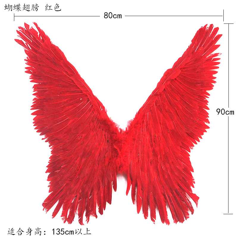Наличие крыльев. Искусственные Крылья. Крылья бабочки с перьями. Крылья бабочки из перьев. Крылья из перьев для собак.