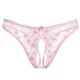 1370 Pink Open Plate Shape Model
