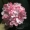 Hoa cẩm tú cầu hoa đầu hoa bóng tường hoa vòm tóc mũ trùm đầu DIY hoa nhân tạo hoa trang trí hoa - Hoa nhân tạo / Cây / Trái cây hoa giả trang trí
