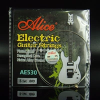 AE530-SL 【1 строка Single String/009】