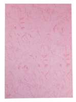 A3 ++ Pink Flat Skin