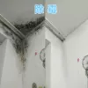 Товары от jiazhizeng