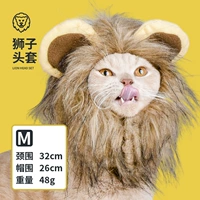 Классический код Little Lion -M (5-12 кот)