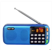 SAST Yushchenko N28 radio cũ máy nghe nhạc cầm tay mini loa nhỏ Walkman - Máy nghe nhạc mp3