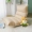 Beanbag tatami đơn nhỏ kiểu Nhật ghế sofa giường gấp sofa ngủ trưa ghế tựa ký túc xá ban công trẻ - Ghế sô pha
