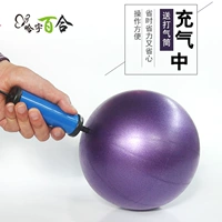 Mini Yoga Ball 20см маленький шариковой кластер для детской йога -йога -йога -шарика шарика шарика с шариком бедра
