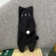 Готовой продукт обнимайте кошка-черный