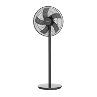 Механическая версия не уверен, что FSA40UE Механическая версия без времени -Время FSA40UE