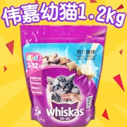 Weijia mèo thực phẩm kitten 1.2 kg cá biển mèo hạt chính mèo Ba Tư kitten mèo gói thực phẩm đặc biệt cung cấp