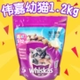 Weijia mèo thực phẩm kitten 1.2 kg cá biển mèo hạt chính mèo Ba Tư kitten mèo gói thực phẩm đặc biệt cung cấp hạt royal canin kitten