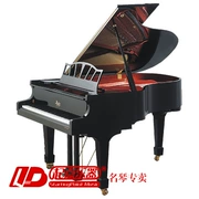 [Công cụ bắt đầu] Thương hiệu gia đình PETROF Roser RG180 Grand Piano - dương cầm