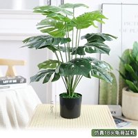 Симуляция 18 черепах