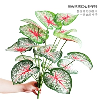 Светло -серые 18 голов красного сердца дикие листья таро