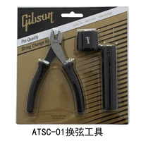 Строковой инструмент ATSC-01