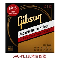 SAG-PB12L Деревянные гитарные струны (12 струн)