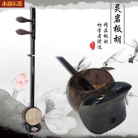 Музыкальный инструмент Mussen Подличный линьянский травяной черный доска Hushuo Hou Gao Yinyin Board Herbat рекомендуется бесплатная доставка