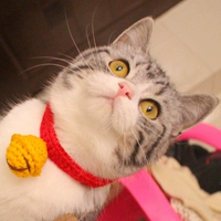 Плетеный колокольчик ручной работы, чокер, милый аксессуар, шарф, домашний питомец, кот