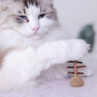 Рыбные кости