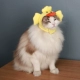 Маленькая утка