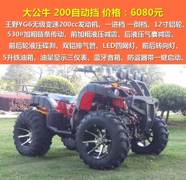 Bull Gasoline Version (Automatic) 200All terrain size bull ATV Four rounds cross-country motorcycle drive Electric shaft gasoline become double Automatic type a mountain country