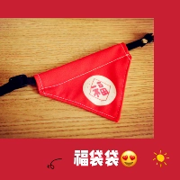 Сумка для благословения