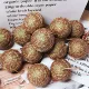 Золотой коричневый зеленый пояс вспыхивает