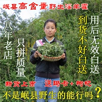 Дикая природа 藿 苁 苁 苁