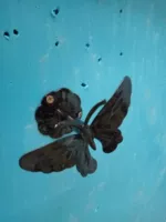 Черная прямая бабочка