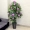 Cây giả kumquat cây ăn quả trong nhà lớn hoa giả chống hoa trang trí phòng khách mô phỏng cây phong phú trang trí cây xanh trồng trong chậu - Hoa nhân tạo / Cây / Trái cây bình hoa giả
