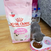 Королевские воздушные змеи K36 и кошачья корма 2 кг грудь грудь Женская кошка беременная кошка беременная кошка апрель апрель, чтобы Defeng Cat English Cat Main Food