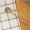 Cháo gốm Nhật Bản muỗng muỗng bộ đồ ăn gia vị muỗng khuấy thìa vẽ tay hoạt hình muỗng cà phê - Đồ ăn tối